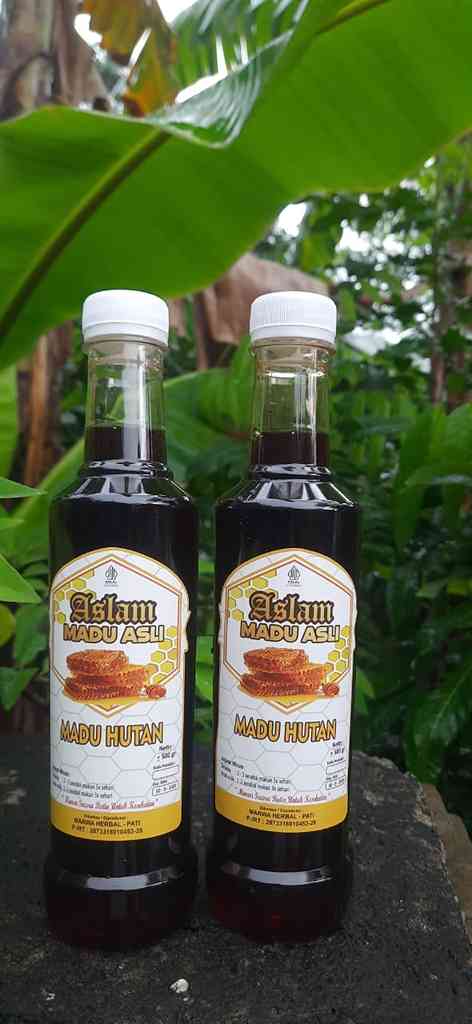 Jual Madu Hutan Murni